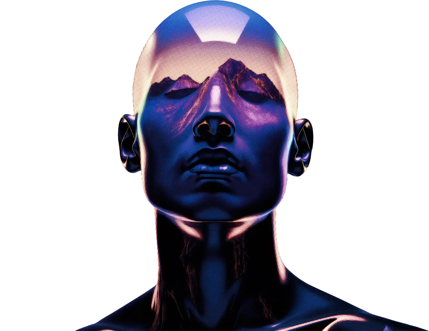 head